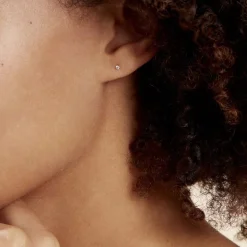 Histoire d'Or Boucles D'oreilles Puces Eddie Or Jaune Oxyde De Zirconium* Boucles D'Oreilles|Clous D'Oreilles