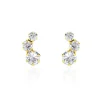 Histoire d'Or Boucles D'oreilles Puces Or Jaune Albizia Oxydes De Zirconium* Boucles D'Oreilles|Clous D'Oreilles