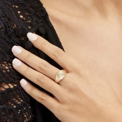 Histoire d'Or Chevaliere Plaqué Or Erditse Oxyde De Zirconium* Bagues|Chevalières