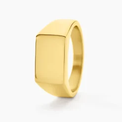 Online Histoire d'Or Chevalière Luciano acier doré