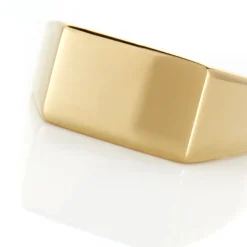 Online Histoire d'Or Chevalière Luciano acier doré