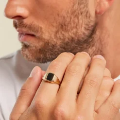 Online Histoire d'Or Chevalière Tertius Or Jaune Onyx