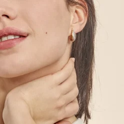 Histoire d'Or Créoles Hermande Or Tricolore