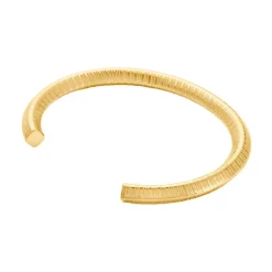 Sale Histoire d'Or Jonc Hera Acier Dore Yseut Effet Strie