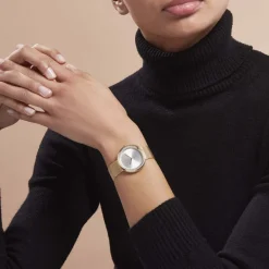 CALVIN KLEIN Montre Twist Argenté* Montres Tendances