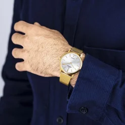 Online FESTINA SWISS MADE Montre 39 Argenté cadran doré fond argenté bracelet acier doré