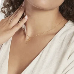 Histoire d'Or Pendentif Salamandre Or Jaune* Pendentifs|Pendentifs